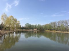 -东郊湿地公园