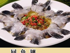 回鱼翅-五四北海鲜吧火锅(秀山路店)