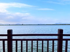 -漩门湾国家湿地公园