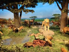 -国家自然博物馆