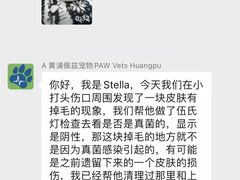 -佩兹宠物医院肿瘤专科·眼科·牙科(黄浦店)