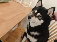 -柴の食堂·日式家庭料理·熊之肆(大学路店)