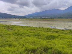 -腾冲北海湿地