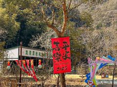 -龙湾潭国家森林公园