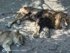 -北京野生动物园