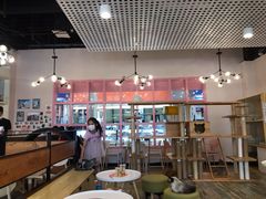 大堂-喵匠猫主题咖啡(凯德和平广场店)