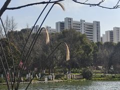 -圩墩遗址公园