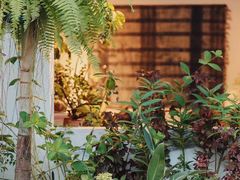 -自由生长植物工作室(深港花卉中心店)