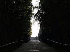 -中国美术学院象山校区-民艺博物馆