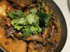 -食为先庐畔渔歌(合作化路店)