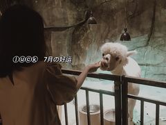 -zoonana室内动物园(东方福来德店)
