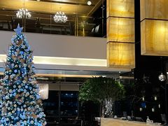 -上海龙之梦万丽酒店