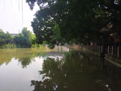 -小洲村