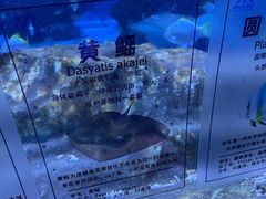 -海合安天津极地海洋公园