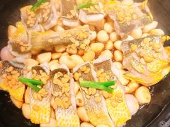 普宁豆酱焗大黄鱼-粤界(望京金辉店)