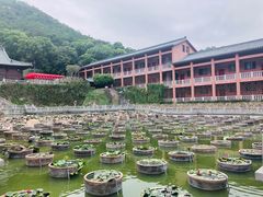 -石峰岩寺