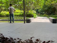 -南宁荔园维景国际酒店·荔园中餐厅