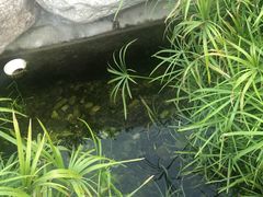 -极乐汇汗蒸会馆(杭州店)
