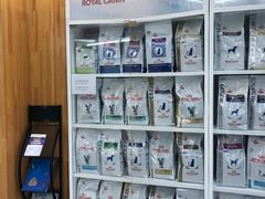 -爱侣宠医·鹦鹉专科·小型哺乳类·异宠专科(灵石路店)