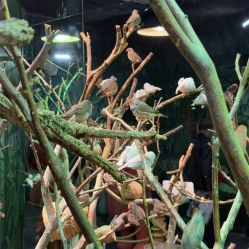 -Zoolung Zoolung动物主题公园(海信广场店)