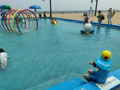 -南戴河国际娱乐中心