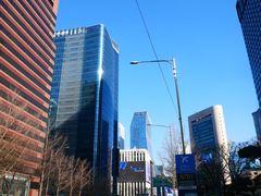 -乐天免税店(明洞店)