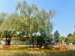 -石家庄市动物园