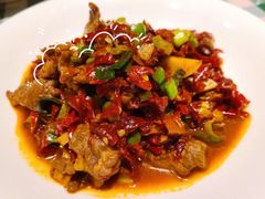 辣皮子炒滚刀肉-新疆巴州金丝特餐厅(大钟寺店)