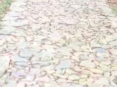 -雨花胜境