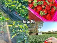 -美的鹭湖森林度假区