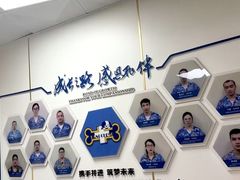 -康成宠物医院24H·CT·核磁共振