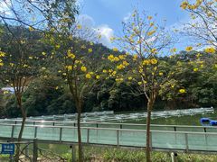 -黄金沟旅游风景区