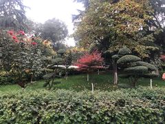 -莲湖公园