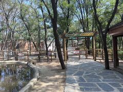 -南戴河国际娱乐中心