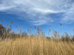 -野鸭湖国家湿地公园