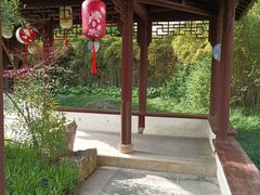 -上海醉白池公园