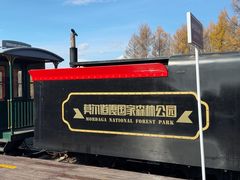 -莫尔道嘎国家森林公园