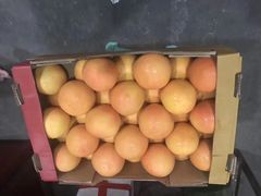 -双福水果批发市场