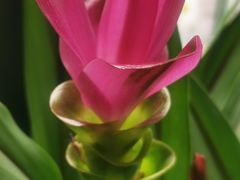 -小八仙·宴(三峡茶庄店)