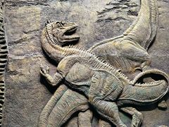 -重庆自然博物馆(新馆)