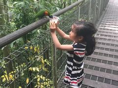 -新加坡飞禽公园