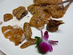 -半岛太子酒家(海港城店)