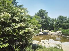 -瑞安圣井山景区