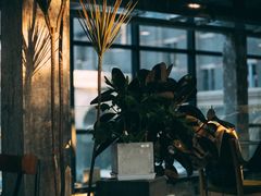 -腾爱熊猫咖啡生活馆(老东门店)