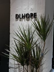 -DL HOPE造型