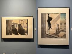 -江苏省美术馆(长江路新馆)