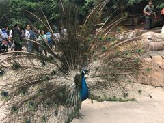 -哈尔滨北方森林动物园