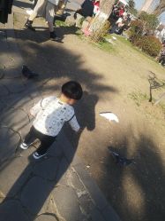 -玄武湖景区-情侣园游乐场