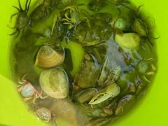 -北海金海湾红树林生态旅游区