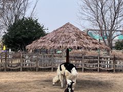 -祥源·阜阳生态乐园